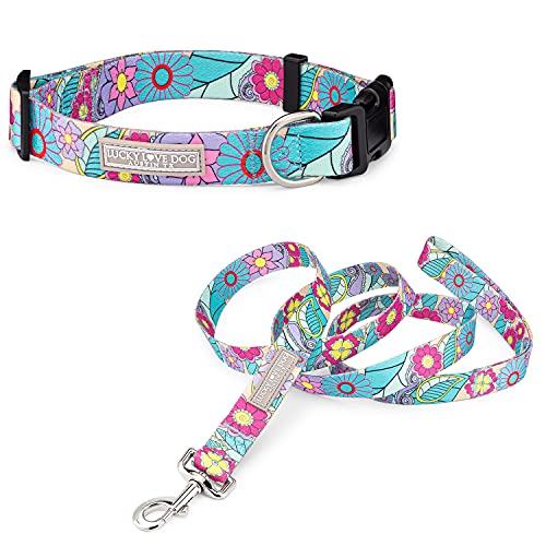 Lucky Love Dog Collar and Leash Combo for Medium Female Dogs