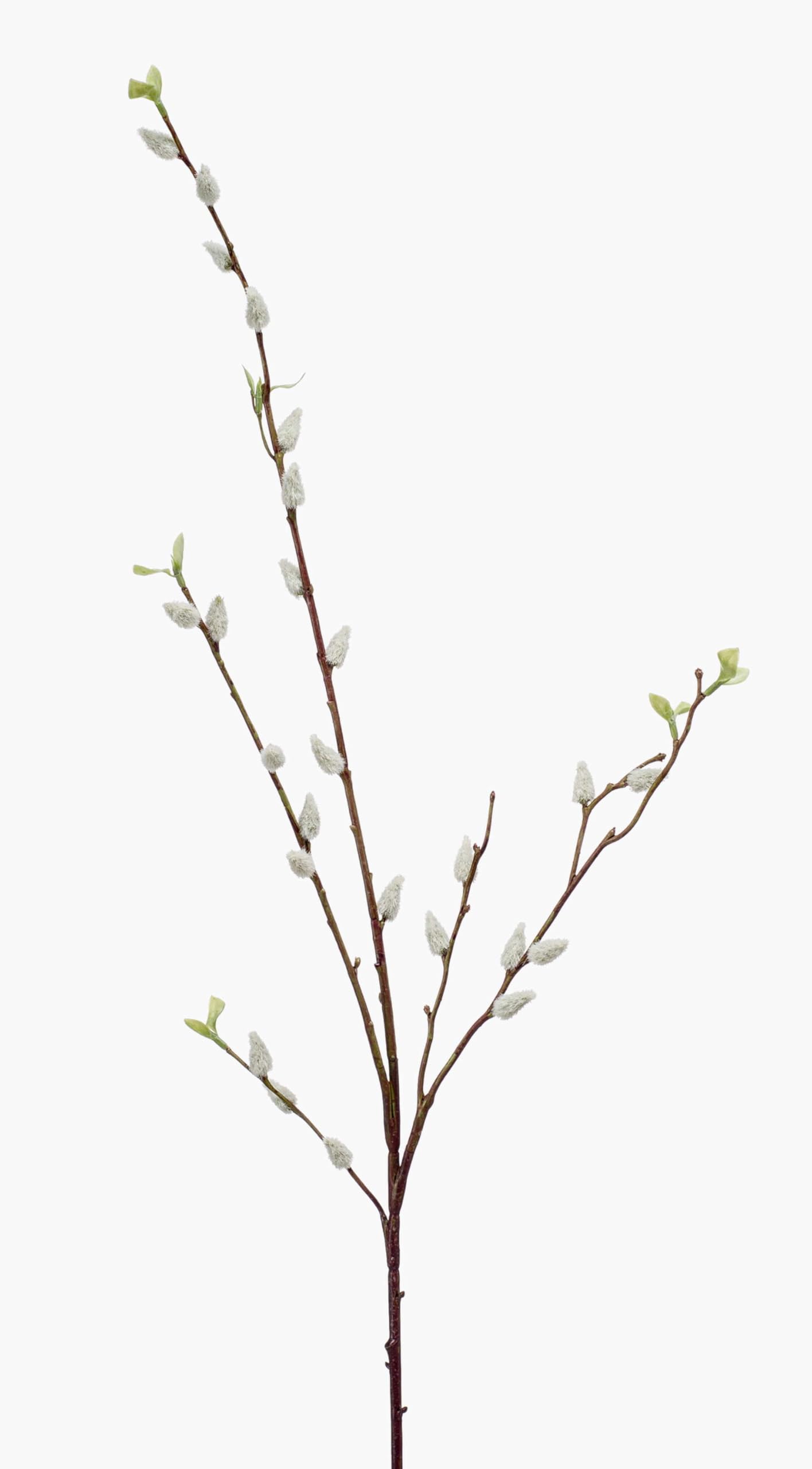 Artplants White .De Fake Willow Catkin Branch Lardeira, 3Ft/95Cm - Artificial Twig/False Willow Catkin Branch