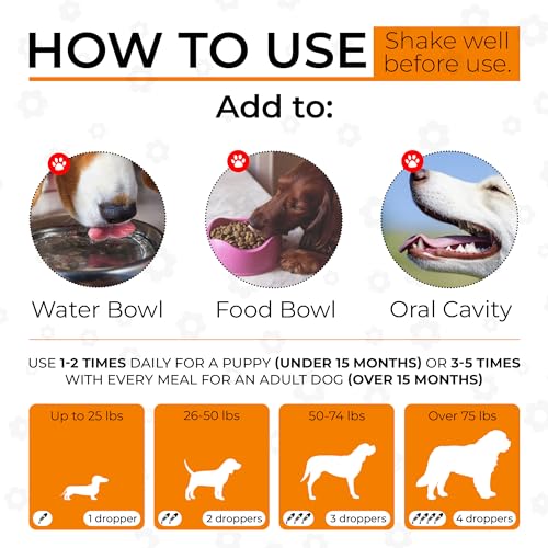 Dog Joint Supplement – Glucosamine Chondroitin for Dogs and Puppies – MSM in The Composition – Care for Joints, Muscles, & Ligaments – Bacon Flavor – 2 Oz