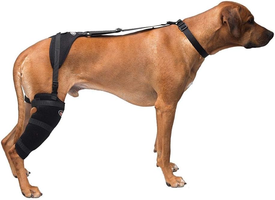 Caldera International, Inc. Caldera Pet Therapy Stifle Wrap with Gel, Large, Black