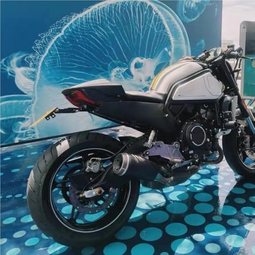 Support de plaque d'immatriculation à queue courte pour moto CLX700