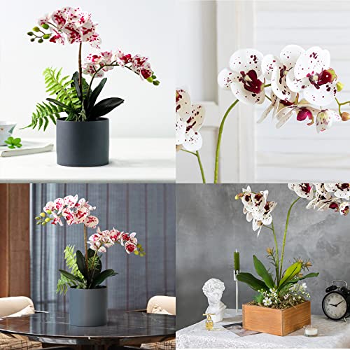 FagusHome 4 Pz Fiori Orchidea Phalaenopsis Fiori