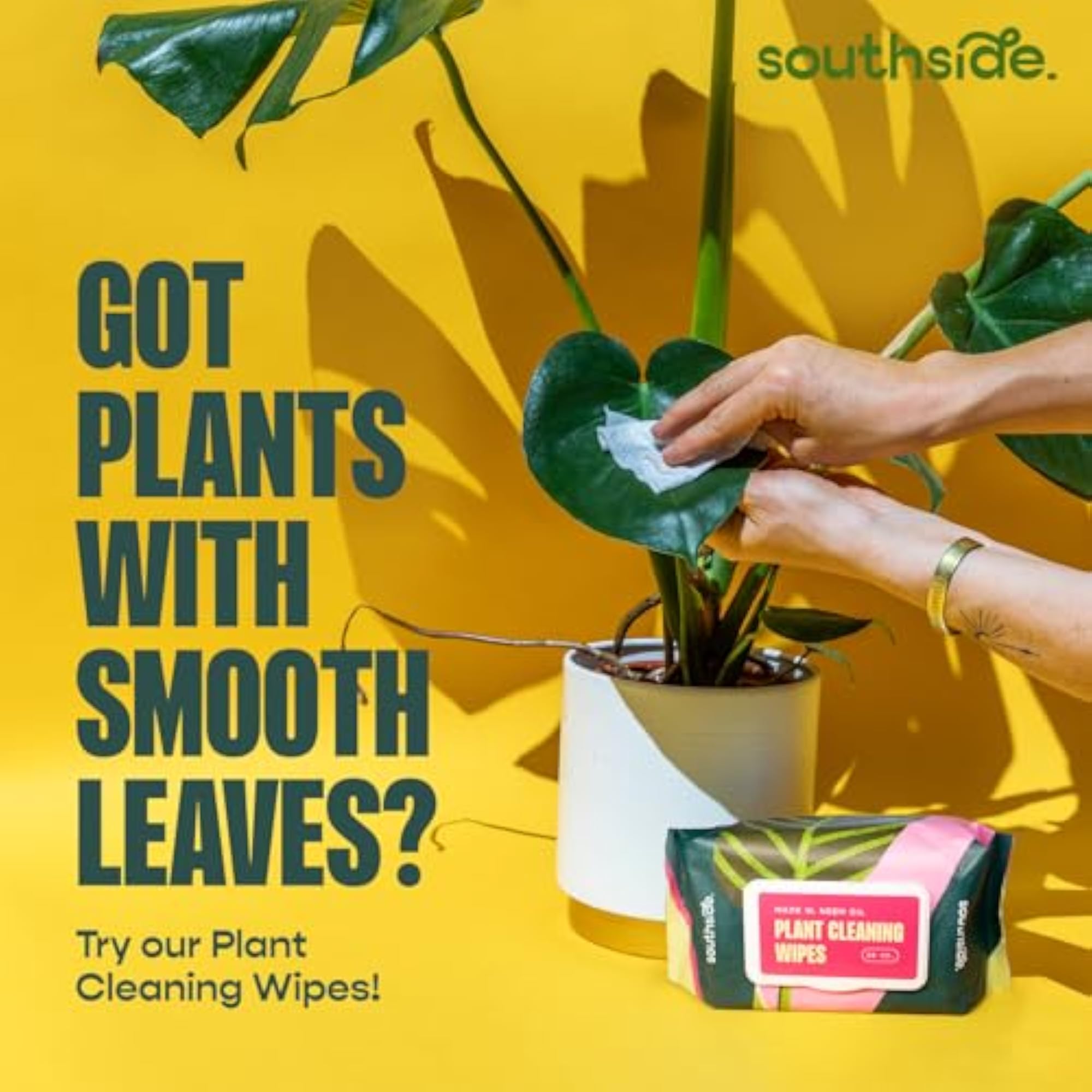 Cactus and Succulent Dusting Brush 2 Pack