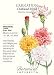 Chabaud Carnation Seeds - 350 mg - Perennial