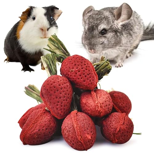 Fhiny Rabbit Chew Toys, 12 PCS Natural Hamster Molar Snacks Handmade Small Animal Chew Toys for Teeth Timothy Hay Treats Habitat Decor for Bunny Guinea Pig Chinchilla Hamster Gerbil Dental Care