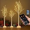 3PACK Lighted Birch Tree 4FT 5FT and 6FT, Smart White Christmas Tree with Lights with APP Home Decor, Warm White, Timing, Dimmer, Group Control, Music Sync, Holiday Decor Indoor/Outdoor Use