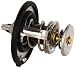 Genuine Mazda (N3H1-15-171) Thermostat