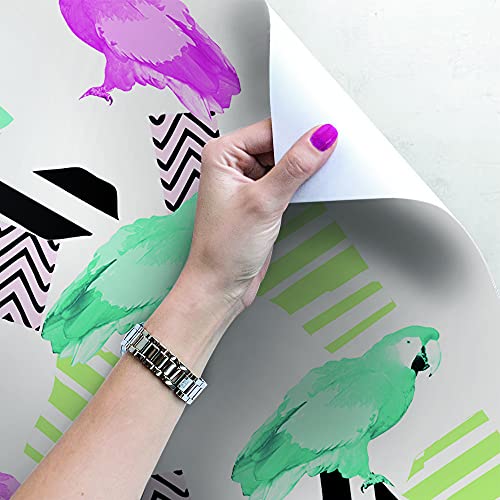 Papier peint Magic-Stick oiseau grand format sticker repositionnable