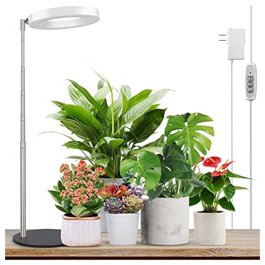 LORDEM Grow Light, LED Plant Light for Indoor Plants Growing, Full Spectrum Desk Growth Lamp with Automatic Timer for 4H/8H/12H, 4 Dimmable Levels, Height Adjustable 9.8"-30.6"