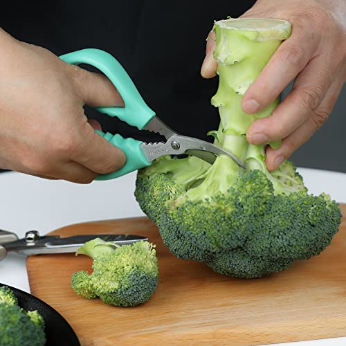 Endurance Stainless Steel 6.1 Inch Seafood Scissors #TOP4
