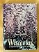 Wisterias: A Comprehensive Guide
