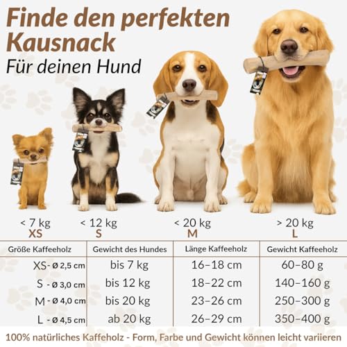 Heygret Kauknochen aus Kaffeeholz für Hunde L - Natürliches Kauspielzeug zur Zahnpflege & Stressabbau - Langanhaltende Beschäftigung mit nachhaltigem Kauholz - Kaustab