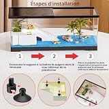 KAKOOTI aquarium tortue 40 x 20 x 22,5 cm avec plage de bain photo 3