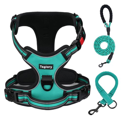 Taglory Dog Harness for Large Dogs and Leash Set, 6 FT Padde