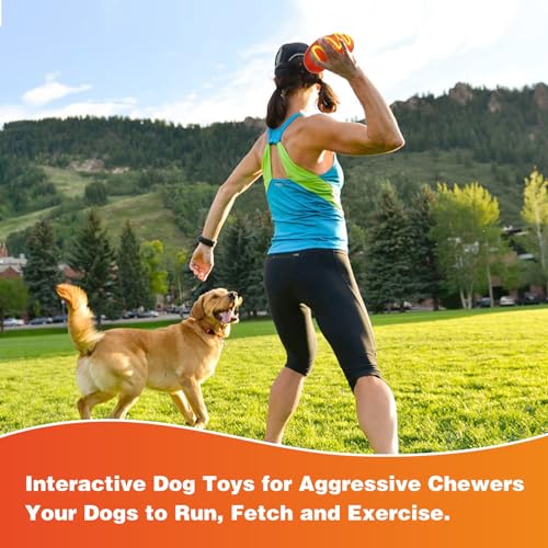 Best Indestructible Dog Toys For Aggressive Chewers Reviews