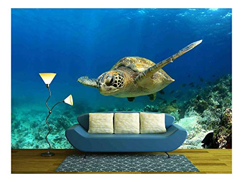Wall26 - Green Sea Turtle Swimming Underwater - Removable Wall Mural | Self-Adhesive Large Wallpaper - 66X96 Inches #TOP29