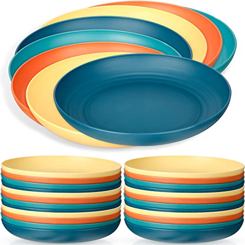 Eccliy 24 Pack 10 Inch Reusable Dinner Plates Wheat Straw Plates Unbreakable Camping Plates Microwave Safe Dishwasher Safe Bpa Free Plates Dinner Plates Kids Toddler Adults (Multi Color) #TOP11
