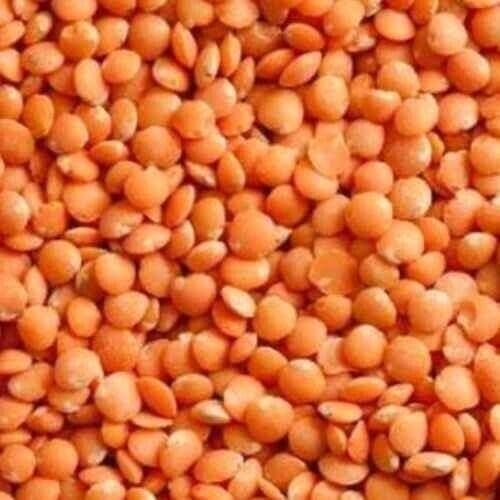 Organic Whole Red Lentils Dry (1)