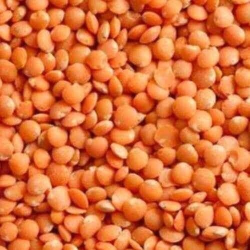 Organic Whole Red Lentils Dry (10)