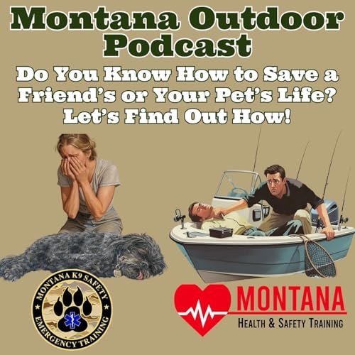 Do You Know How to Save a Friend&rsquo;s or Your Pet&rsquo;s Life? Let&rsquo;s Find Out How!