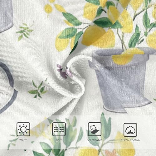 Wusikd Gray Bicycles Boys' Underwear Cotton Lemon Trees Boys Briefs Soft Toddler Underwear 2T3