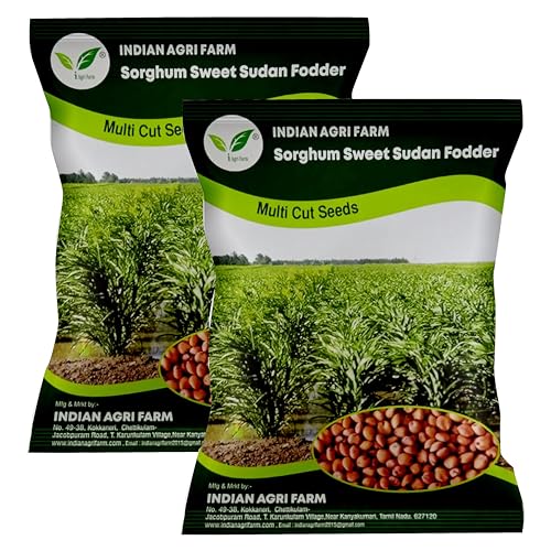 Image of Iagrifarm Sorghum Sudan Grass Fodder Seeds - 2 Kg - Multi Cut Fodder Seeds For Fodder Cultivation