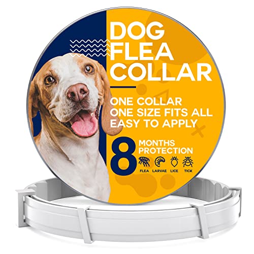 Top 12 Best Tick Collar For Dogs Reviews (2023)