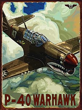 Losea P40 Warhawk Metal Sign Vintage Retro Home Decoration Metal Signs Tin Sign Posters for Bar Pub Home 12 x 16 Inch