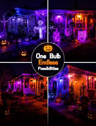 Ecoiot Halloween Light Bulbs, A19 LED Purple Light Bulb, Orange Light Bulb