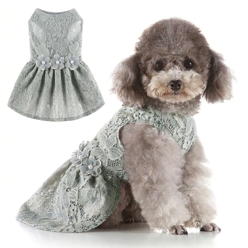OzTaili Small Dog Dress for Girl - Elegant Lace Pet Dress with Floral Accents for Puppy Dog Apparel (Gray, L)