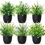 Künstliche Pflanzen mit Topf 6pcs Kunstpflanze Kleine Grünpflanzen Dekor Kunststoff Pflanzen Indoor Dekor für Büro Haus Schlafzimmer Wohnzimmer Badezimmer
