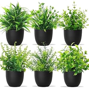 Künstliche Pflanzen mit Topf 6pcs Kunstpflanze Kleine Grünpflanzen Dekor Kunststoff Pflanzen Indoor Dekor für Büro Haus Schlafzimmer Wohnzimmer Badezimmer