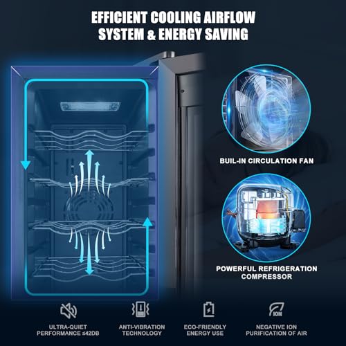 12 Bottle Compressor Wine Cooler Refrigerator with Lock, Freestanding Wine Fridge, 41°F-64°F Digital Temperature Control, Large Wine Cellar for Red, White, Champagne, and Sparkling Wine – Black on Fridge.com