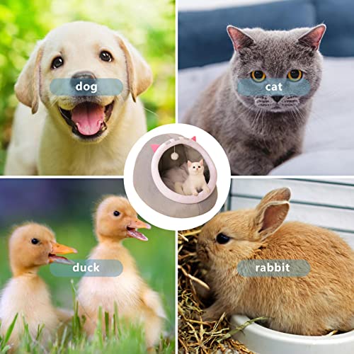 Teckey Cuccia per Gatti, cucce per Gatti Lavabili