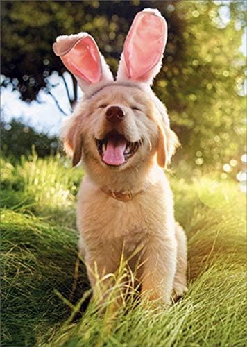 Golden Puppy with Bunny Ears Cute Dog Easter Card