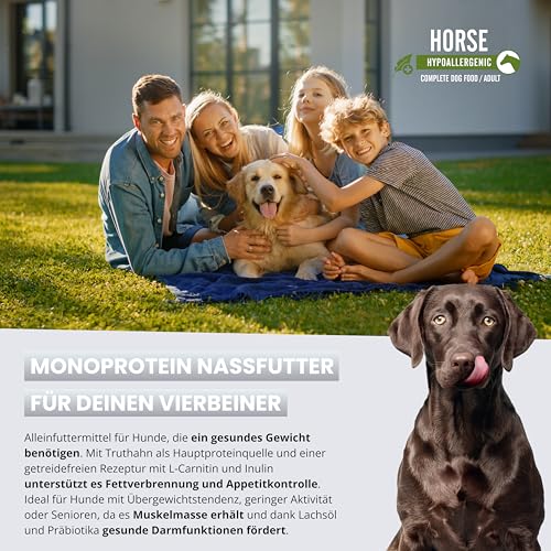 John Dog Hundenassfutter Pure Black Hypoallergenic Pferdefleisch - Getreidefreies Monoprotein Nassfutter für empfindliche Hunde - Hundefutter ohne Huhn, unterstützt Haut und Fell 6 x 400g