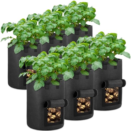 OPPOLIFE Paquete de 6 Bolsas de Cultivo de Patatas de 10 galones con Ventanas con Solapa, macetas de Tela de aireación Resistente con Asas para jardín y plantación (Negro)