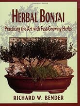 Herbal Bonsai