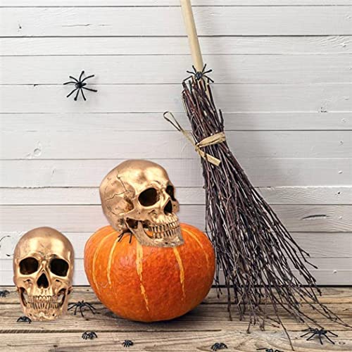 Ecyc 1:1 Resin Human Skull Model Halloween Props Home Decorations High Fidelity Skull Head Sculpture Life Size, Bronze #TOP6