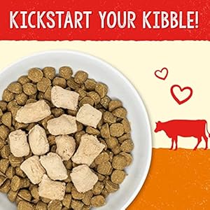 Stella  chewys freeze dried uncooked tremendous beef meal mixer  canine meals topper for small  massive breeds  grain free protein wealthy recipe  3 5 oz bag   cucciolini doodles