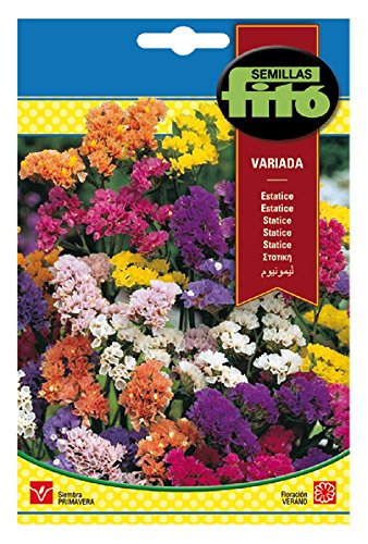 Semillas Fitó 630 - Semillas de Estatice Variada