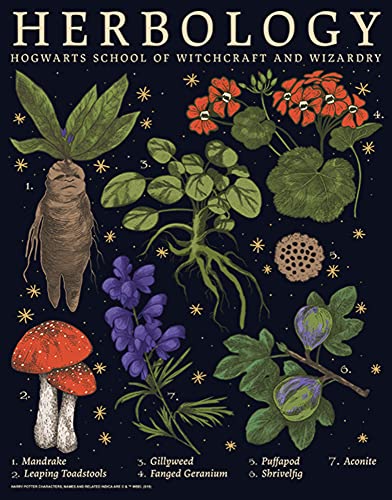Image of Harry Potter unisex-child Herbology
