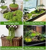 Fenglin-joy Stabilizowany mech, 200 g sztuczny mech sztuczne piżmo do akwarium modelowanie terrarium dekoracja domu Boże Narodzenie Wielkanoc ściana (ciemnozielony)