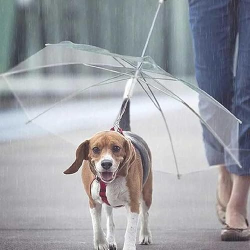 Guarda Chuva Pet Cachorro: Modelo Invertido