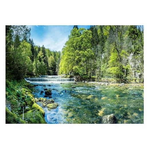 WallArena - Vlies Fototapete Landschaft 150x105 cm - Fototapeten - Tapeten - für Wohnzimmer Schlafzimmer - Vliestapete Wandtapete Tapete 3D Effekt- inkl. Kleister - Wald See Natur