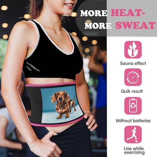 Cinturilla para cintura con diseño de Dachshund para entrenamiento miniatura 3