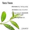 GIOVANNI-Tea-Tree-Triple-Treat-Invigorating-Shampoo-24-oz-Cooling-Peppermint-Conditioning-Rosemary-Clarifying-Eucalyptus-Helps-Alleviate-Dry-Flaking-Scalp-Sulfate-Free-No-Parabens-Pack-of-1 GIOVANNI Tea Tree Triple Treat Invigorating Shampoo - Cooling Peppermint, Eucalyptus & Rosemary, Helps Strengthen & Rejuvenate Hair & Scalp, Salon Quality, Paraben Free, Tea Tree Shampoo - 24 oz