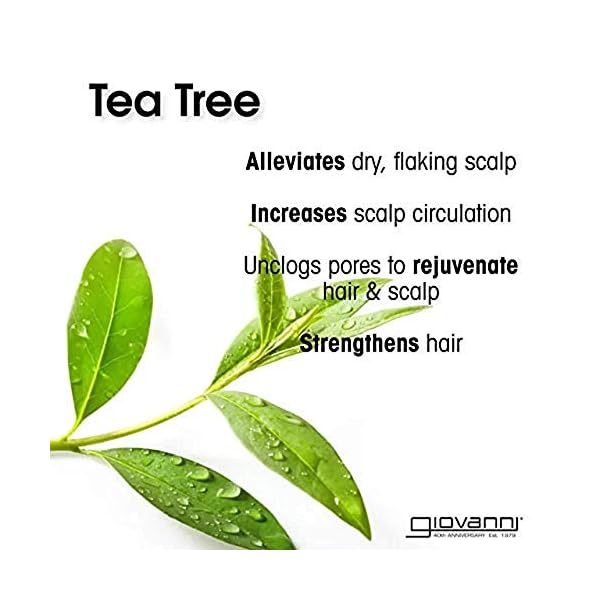 GIOVANNI-Tea-Tree-Triple-Treat-Invigorating-Shampoo-24-oz-Cooling-Peppermint-Conditioning-Rosemary-Clarifying-Eucalyptus-Helps-Alleviate-Dry-Flaking-Scalp-Sulfate-Free-No-Parabens-Pack-of-1 GIOVANNI Tea Tree Triple Treat Invigorating Shampoo - Cooling Peppermint, Eucalyptus & Rosemary, Helps Strengthen & Rejuvenate Hair & Scalp, Salon Quality, Paraben Free, Tea Tree Shampoo - 24 oz