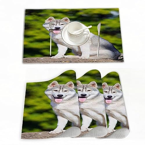 【Materiale】70% PVC + 30% filato di poliestere, realizzato con materiali di alta qualità.