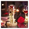 Beauty and the Beast Rose Gift Kit, Roos in een Glas, Eeuwige Roos Romantische Geschenken voor Moederdag, Verjaardag…